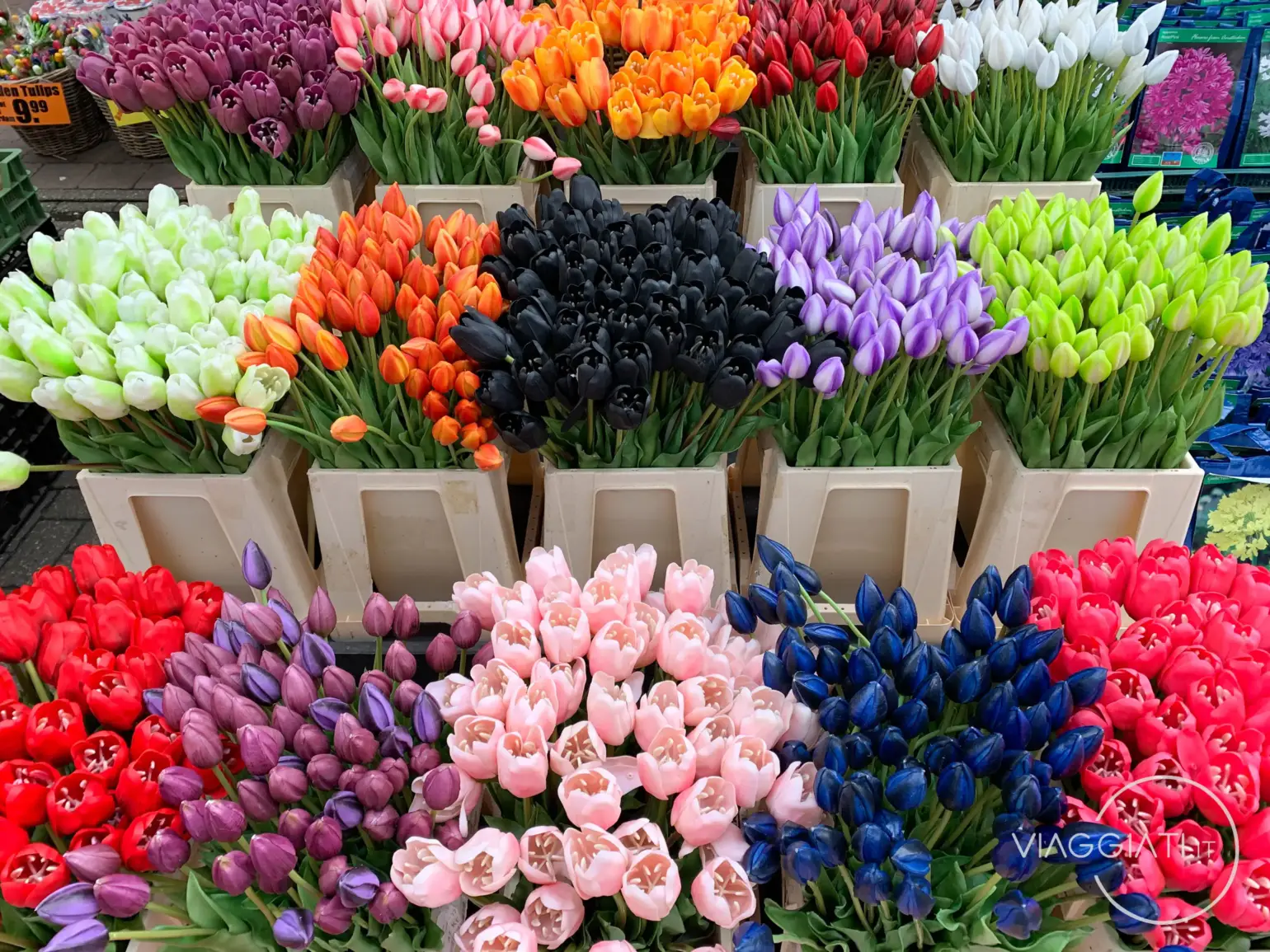 Mercato dei Fiori | Amsterdam in 3 giorni