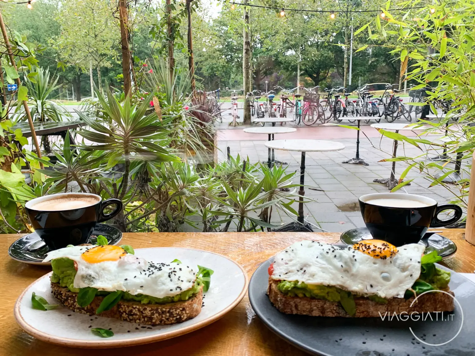 Caffetteria Benji's ad Amsterdam