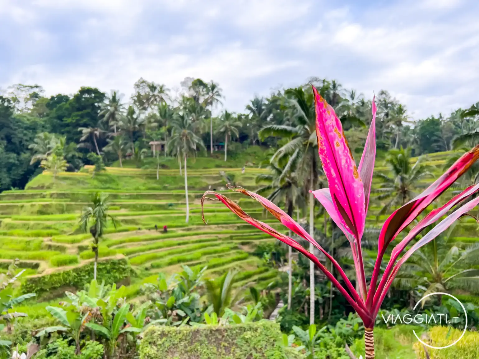 Viaggio a Bali