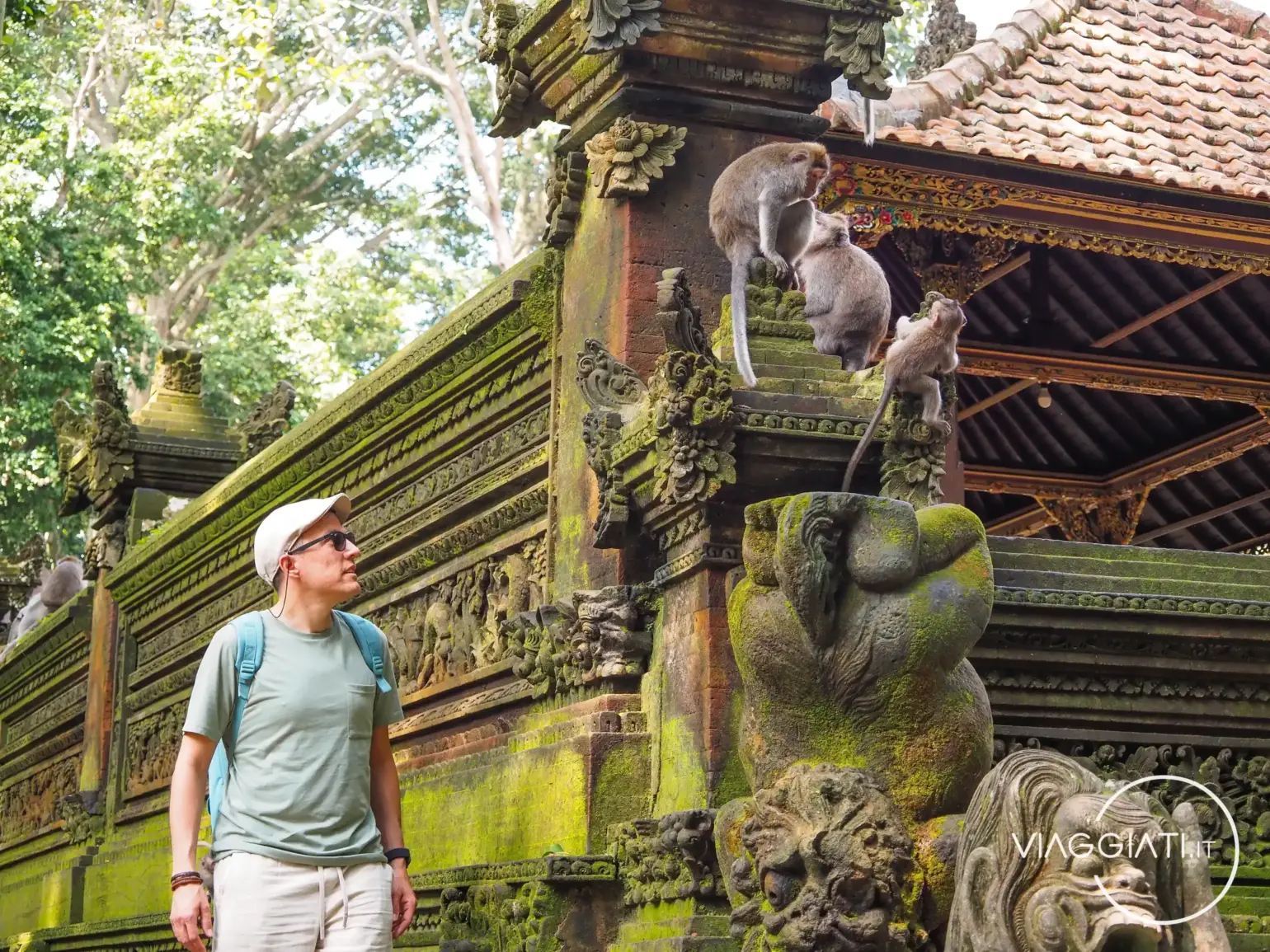 Monkey Forest | Bali in 10 giorni