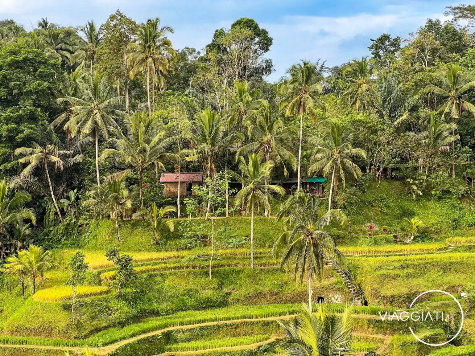 Consiglio per un viaggio a Bali n. 23: quando visitare l'isola