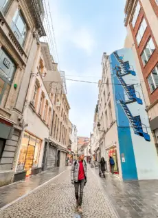Bruxelles in un giorno