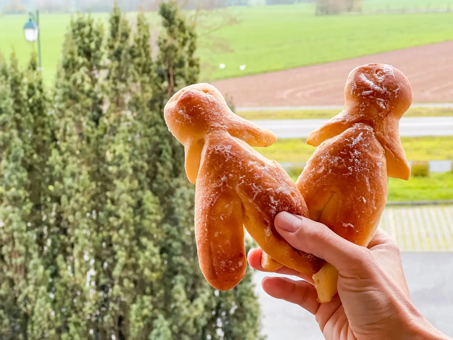 Manala o Mannele | Il dolce tipico di Natale in Alsazia