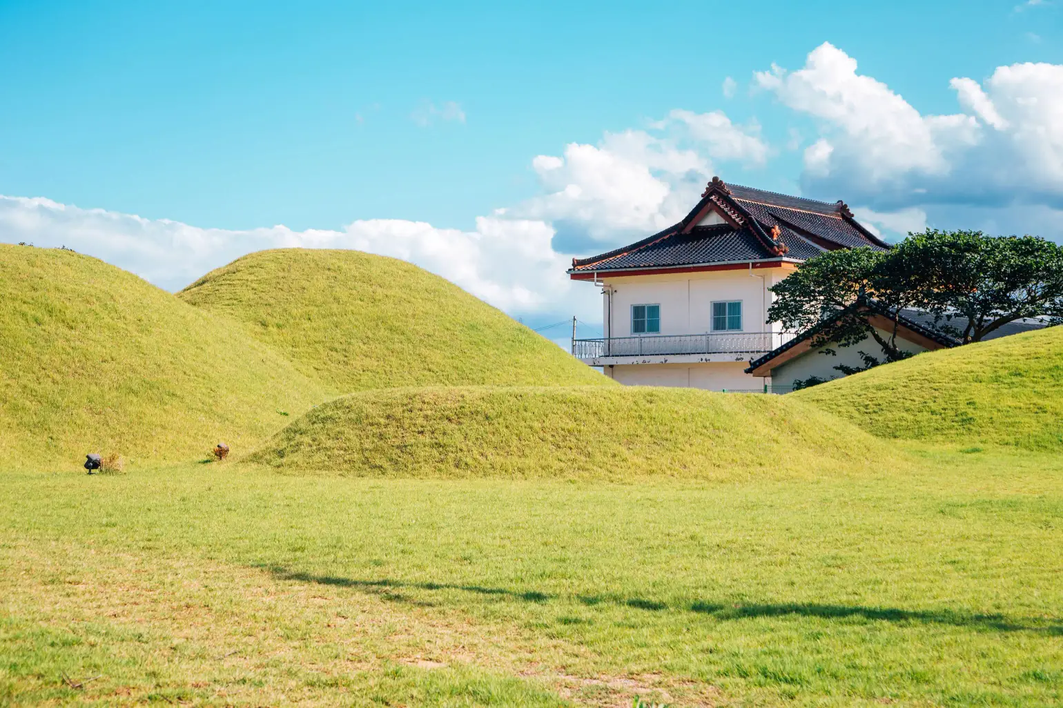 Daereungwon Tomb Complex | Escursione a Gyeongju da Busan