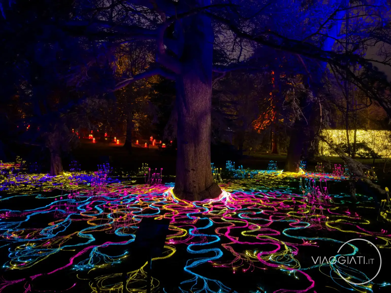 Christmas at the Botanics | Edimburgo a Natale