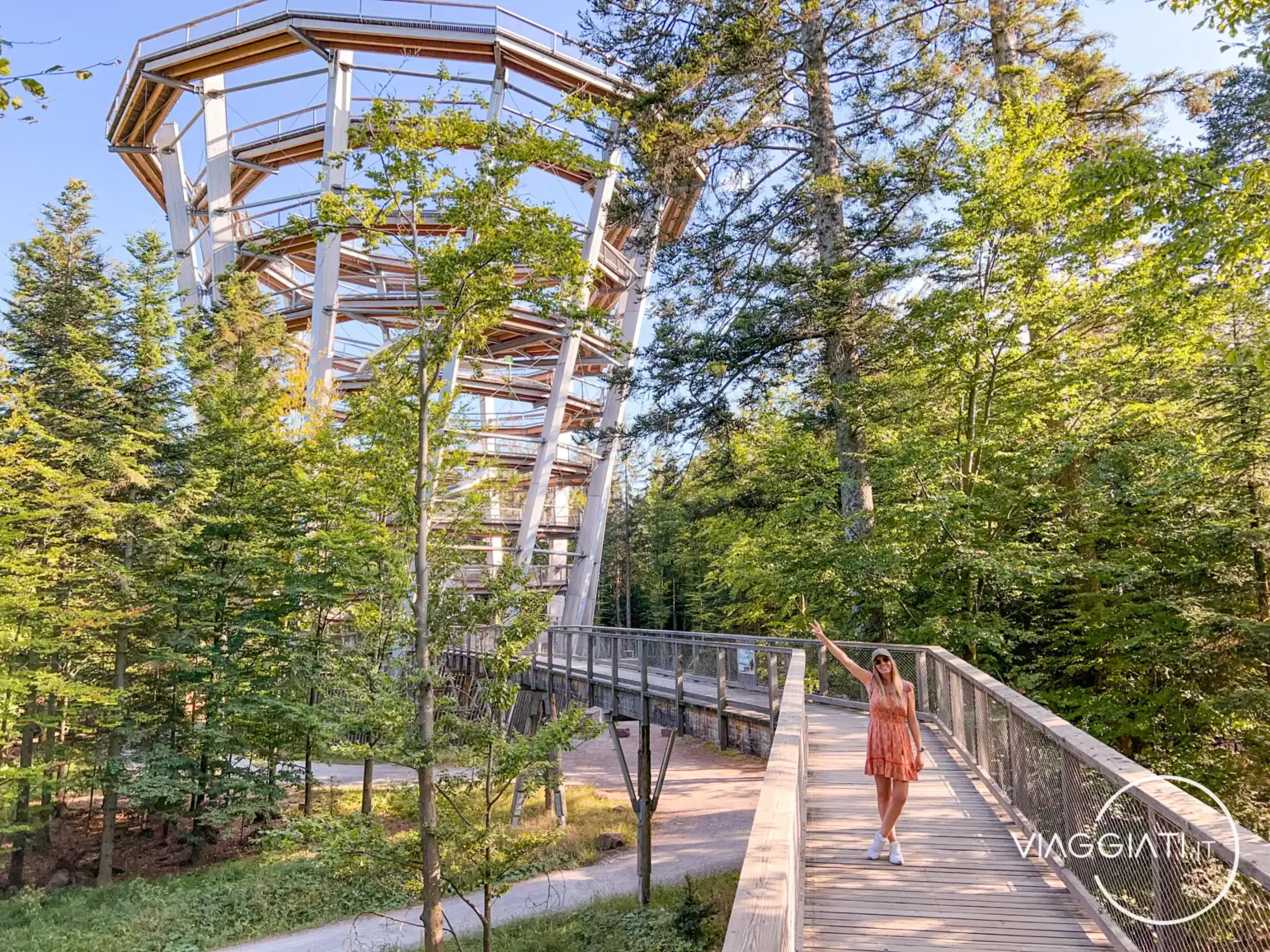 Baumwipfelpfad | Itinerario nella Foresta Nera