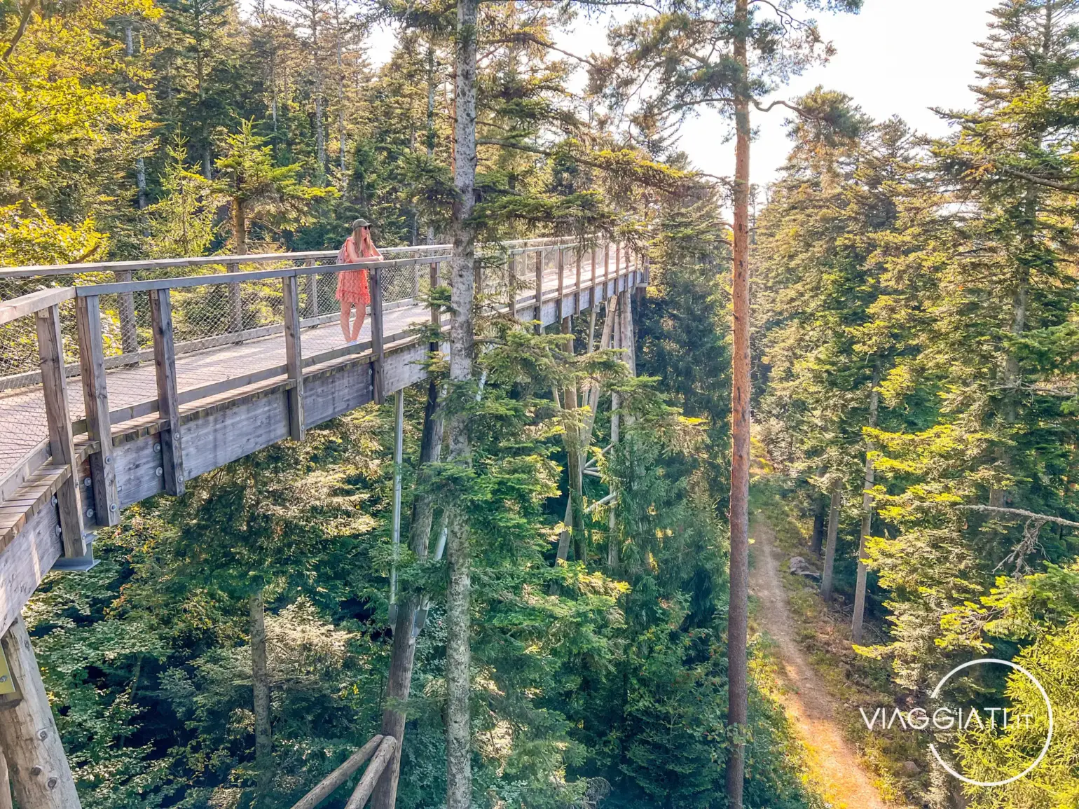 Passeggiata tra le cime degli alberi | Bad Wildbad