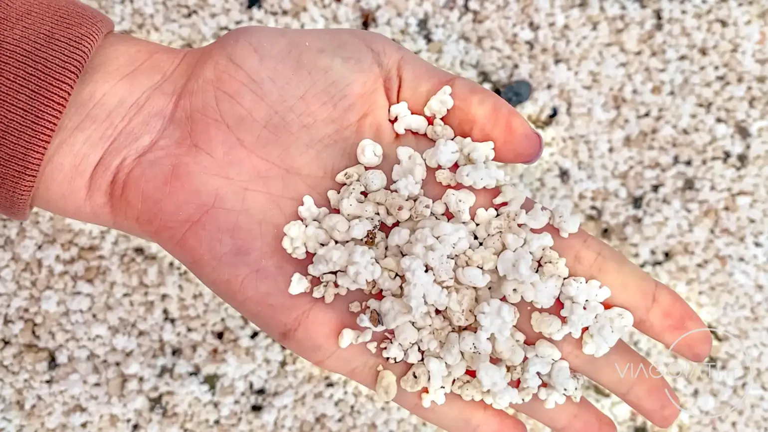 Popcorn Beach | Fuerteventura in 4 giorni