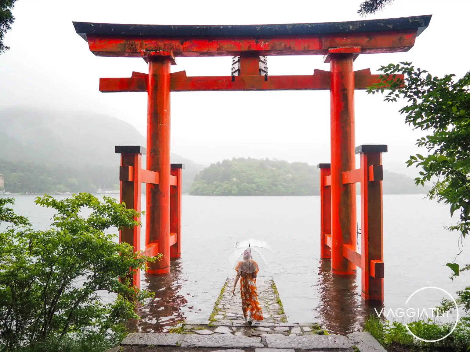 Giappone in 15 giorni | Torii di Hakone