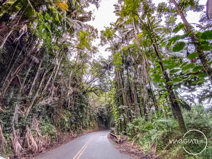 Old Māmalahoa Highway a Big Island
