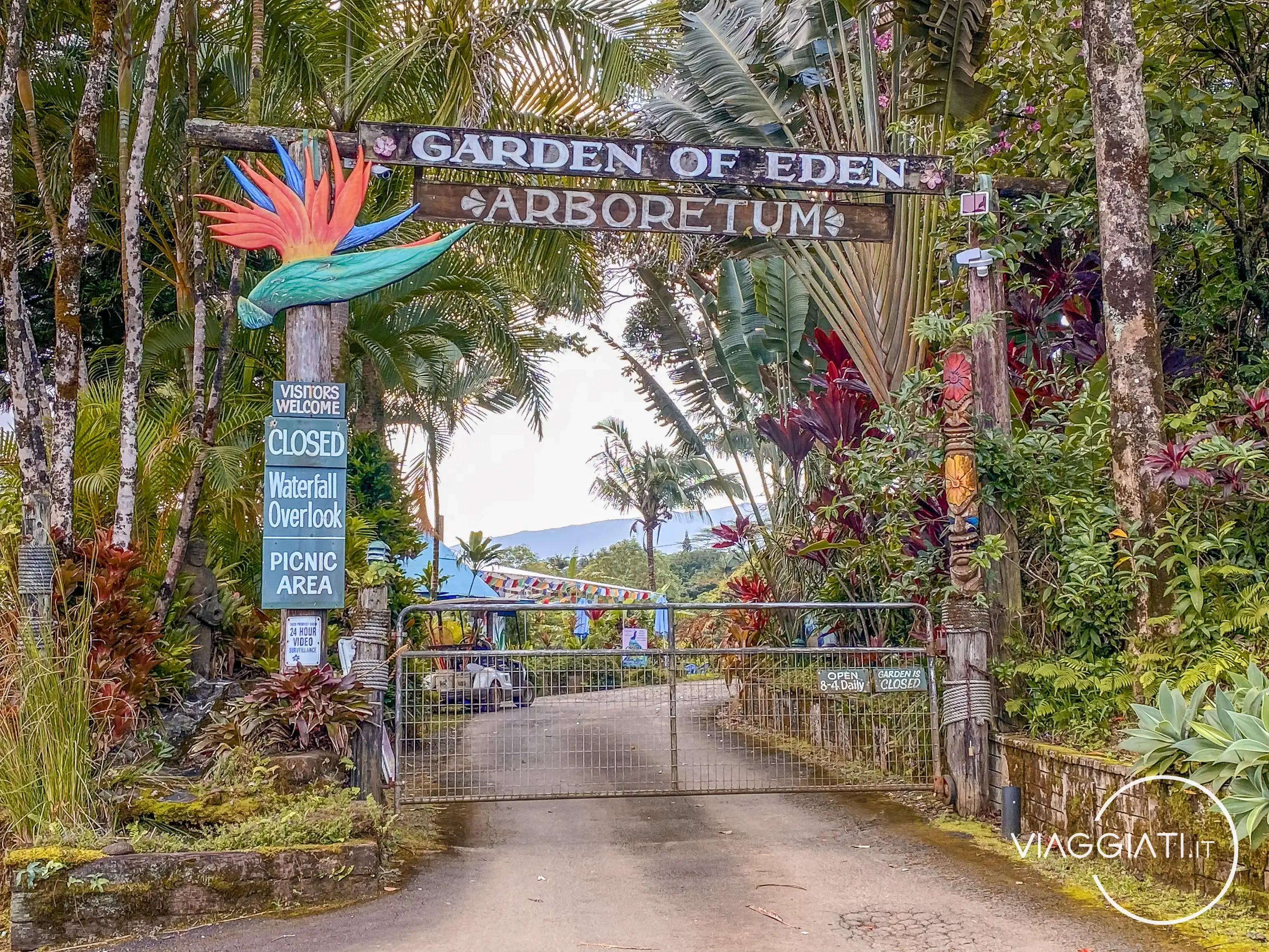 Garden of Eden | Road to Hana