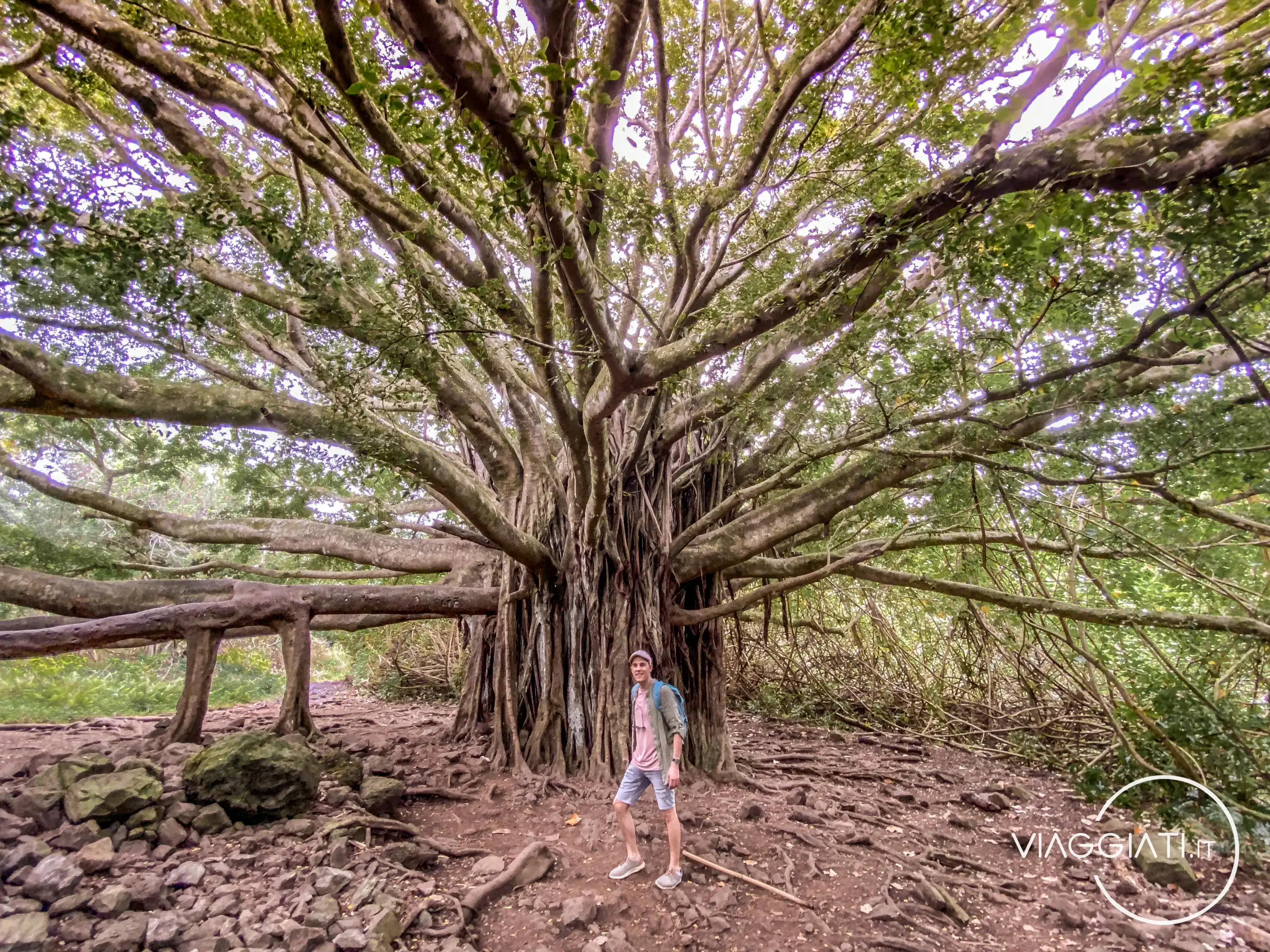 Pīpīwai Trail | Road to Hana