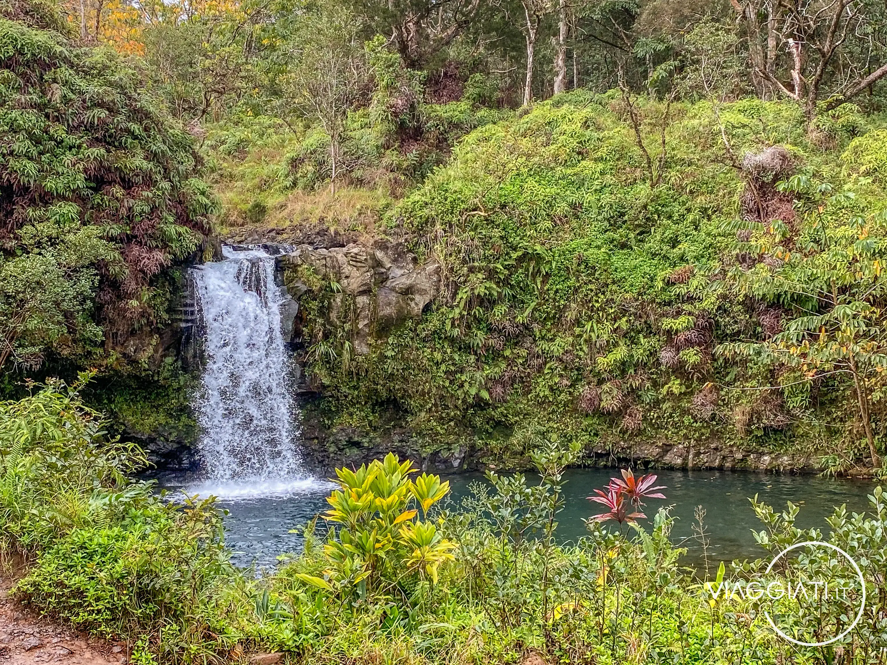 Pua’a Ka’a State Wayside