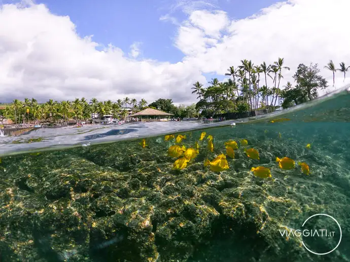 Spiaggia di Kahaluʻu a Kailua-Kona | Dove dormire a Big Island