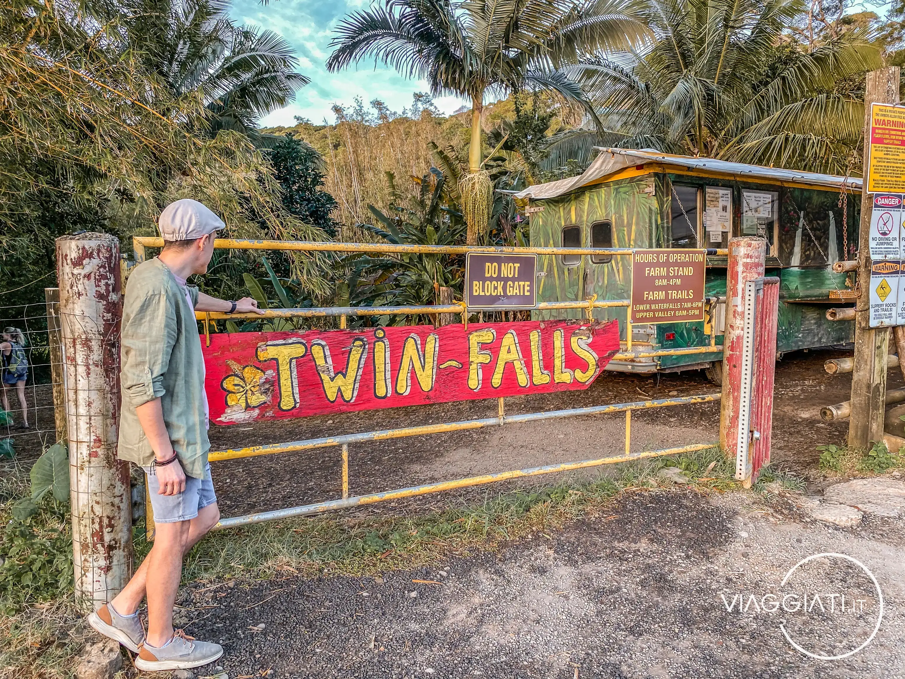 Twin Falls | Road to Hana