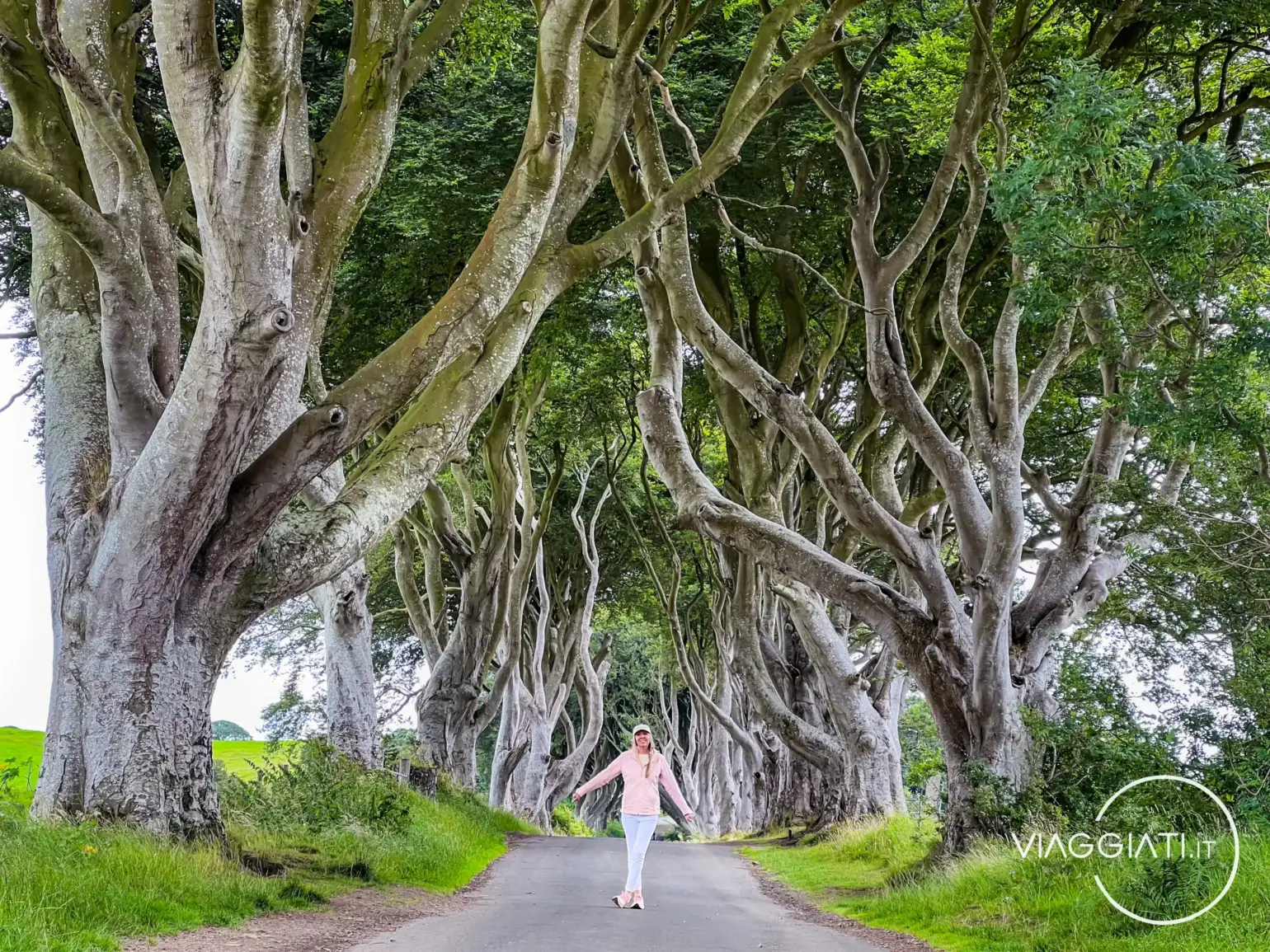 The Dark Hedges | Itinerario in Irlanda