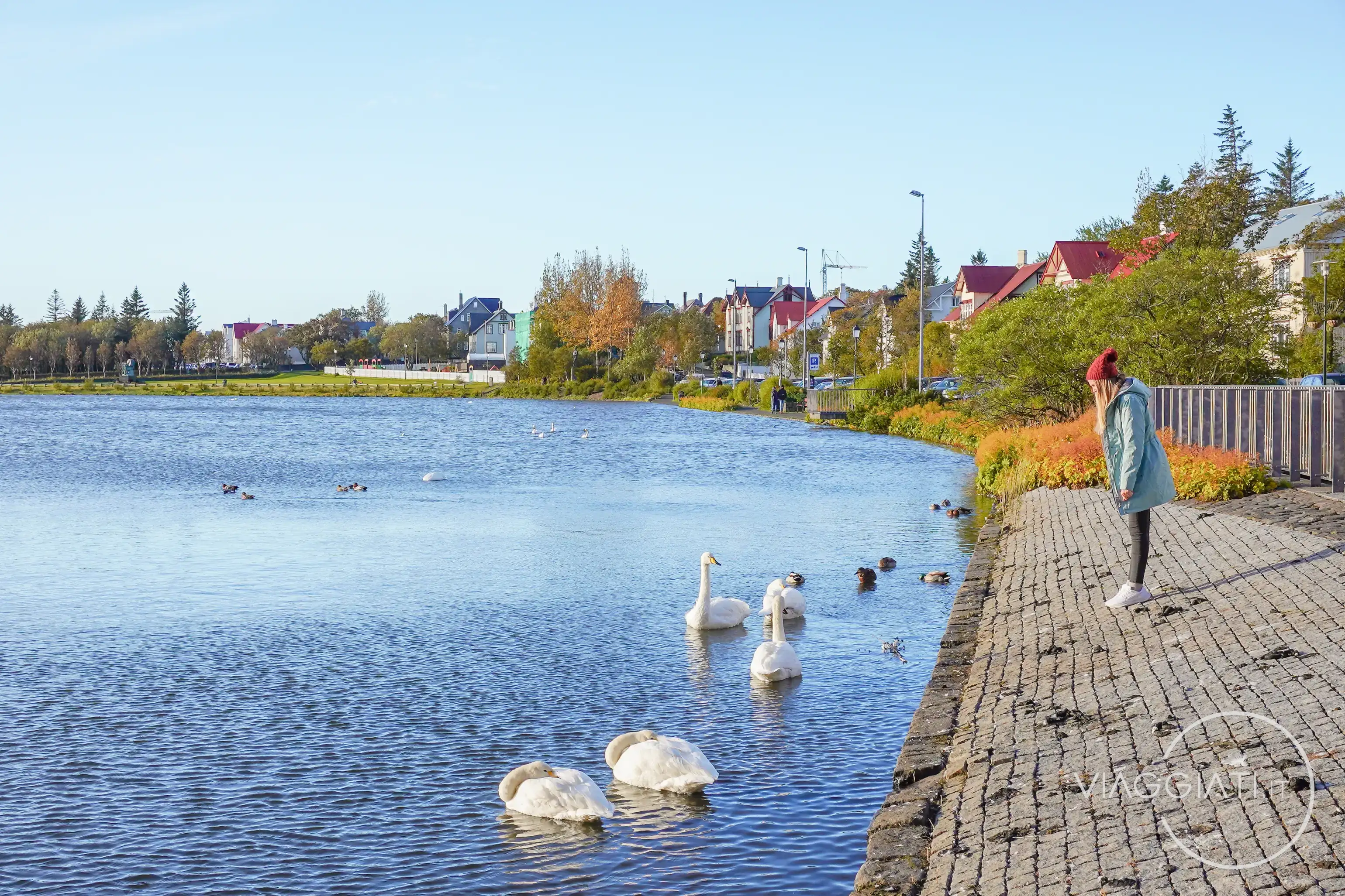 Lago Tjörn | Reykjavík