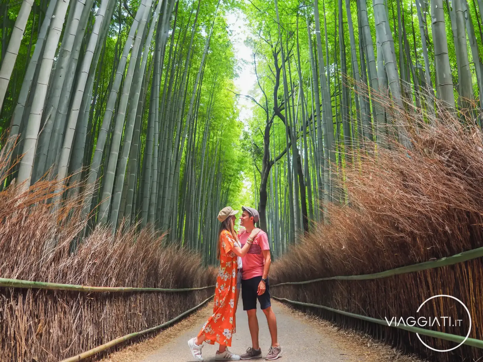 Foresta di bambù di Arashiyama