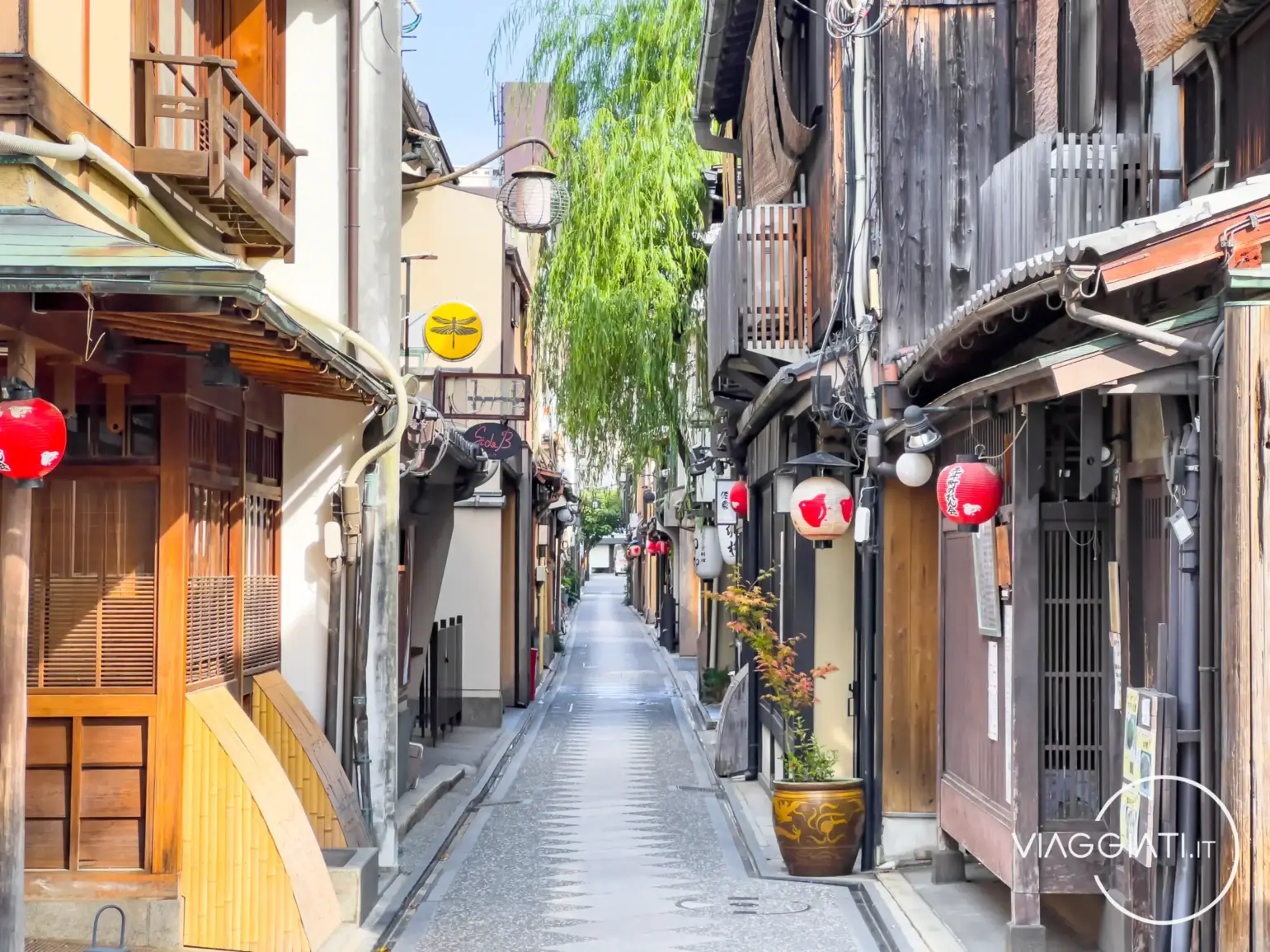 Pontocho | Kyoto in 3 giorni