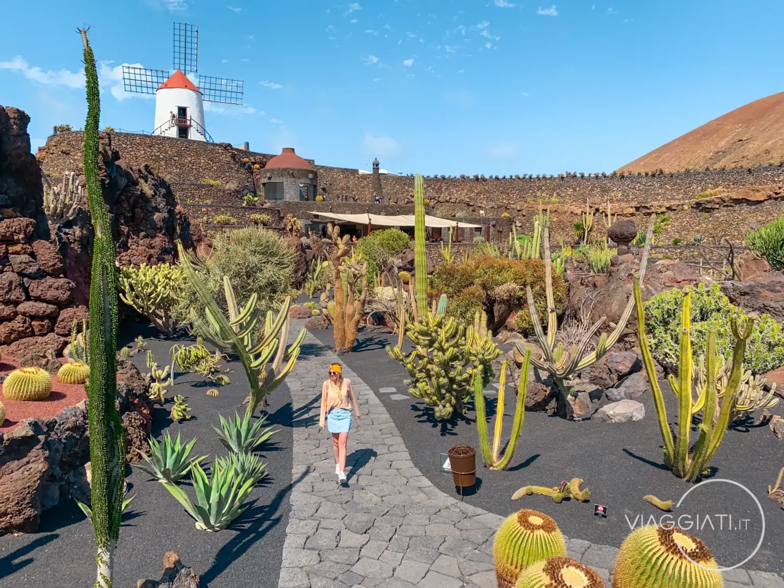 Lanzarote in 4 giorni | Jardin de Cactus