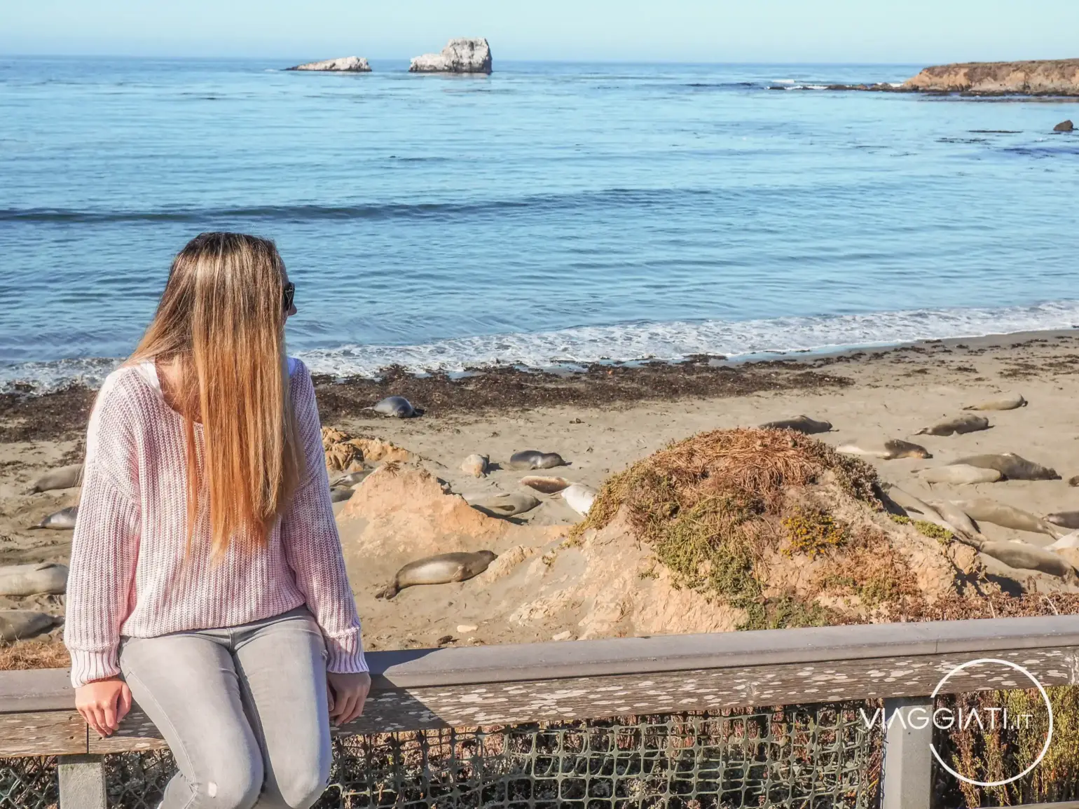 Itinerario lungo la costa della California - Elephant Seal View Point