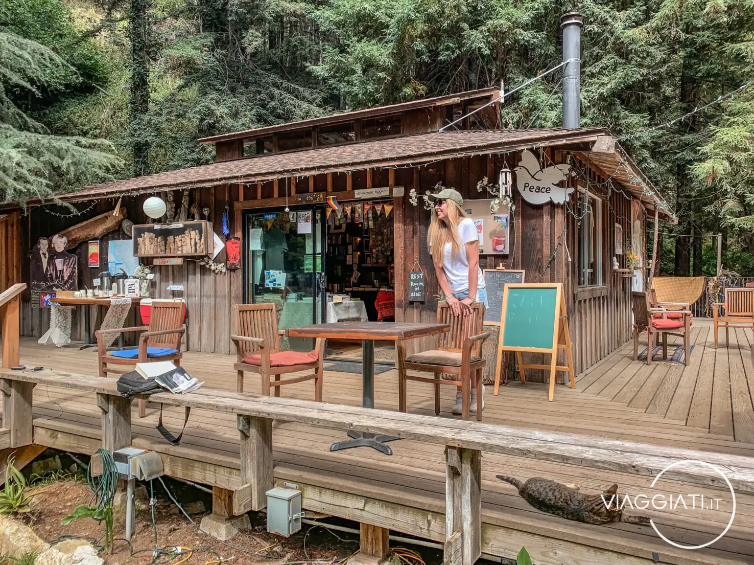 Da Los Angeles a San Francisco attraverso il Big Sur - Henry Miller Memorial Library