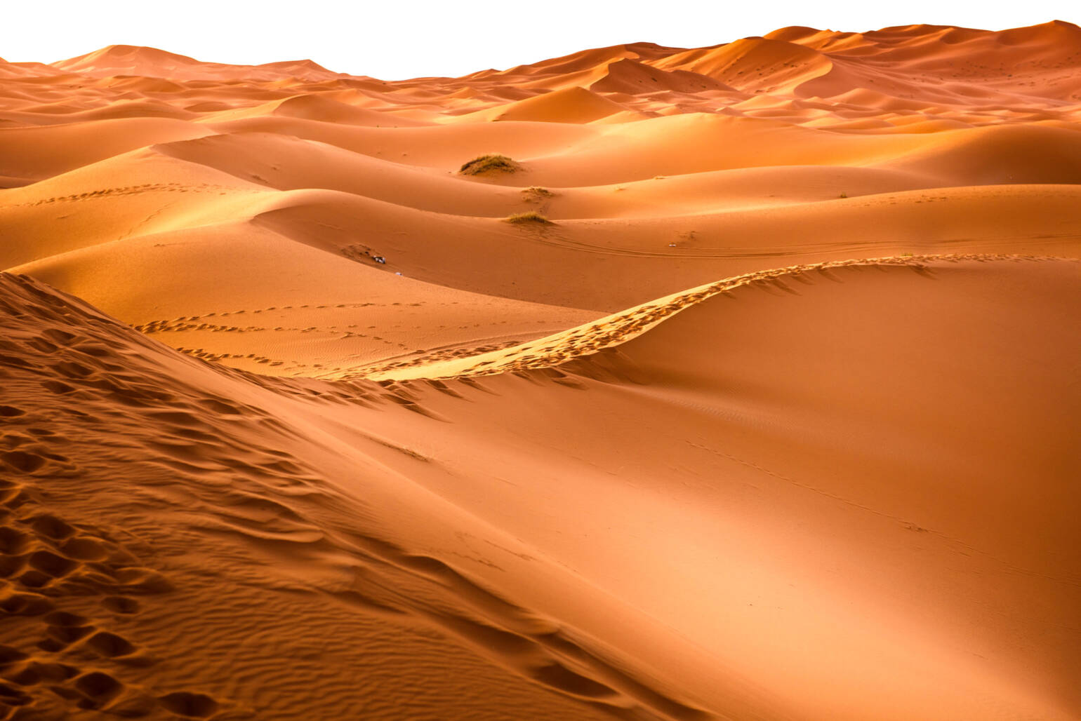 Escursione nel deserto da Marrakech