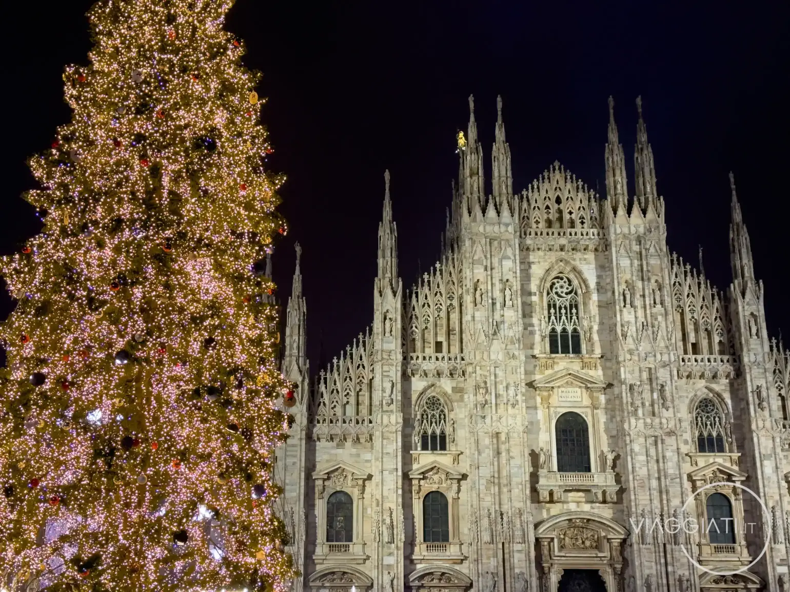 Albero di Natale illuminato in Piazza del Duomo