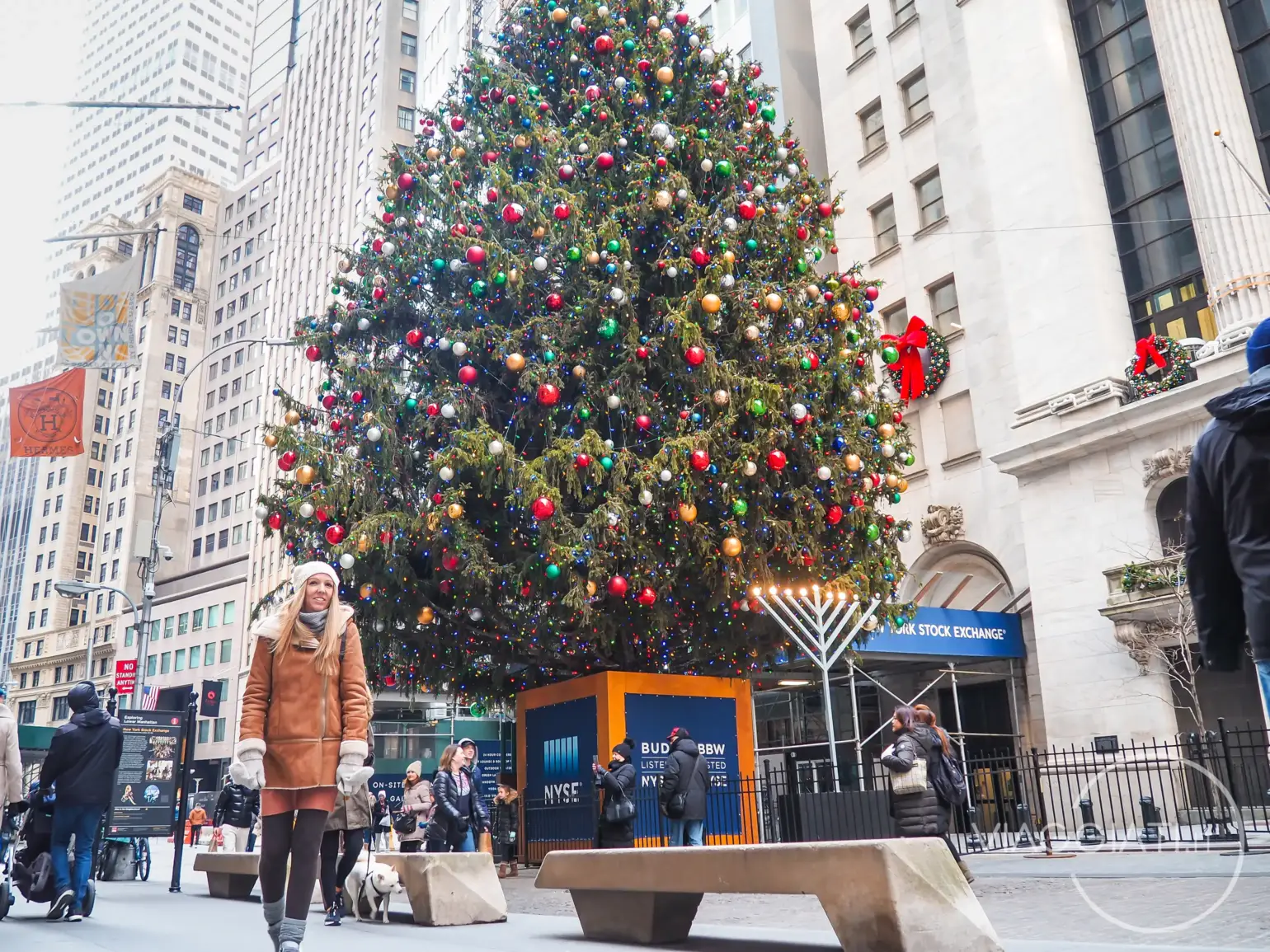 Albero di Natale di Wall Street | New York