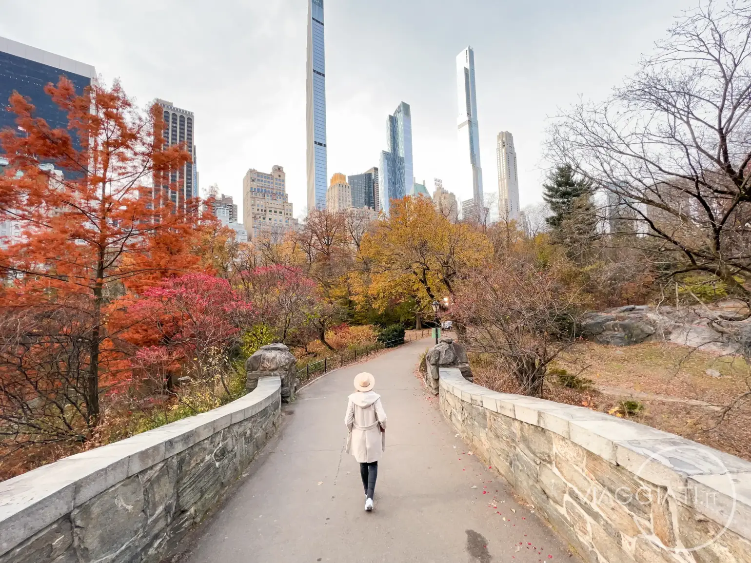 Central Park | New York