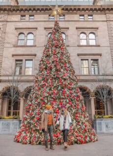 New York a Natale