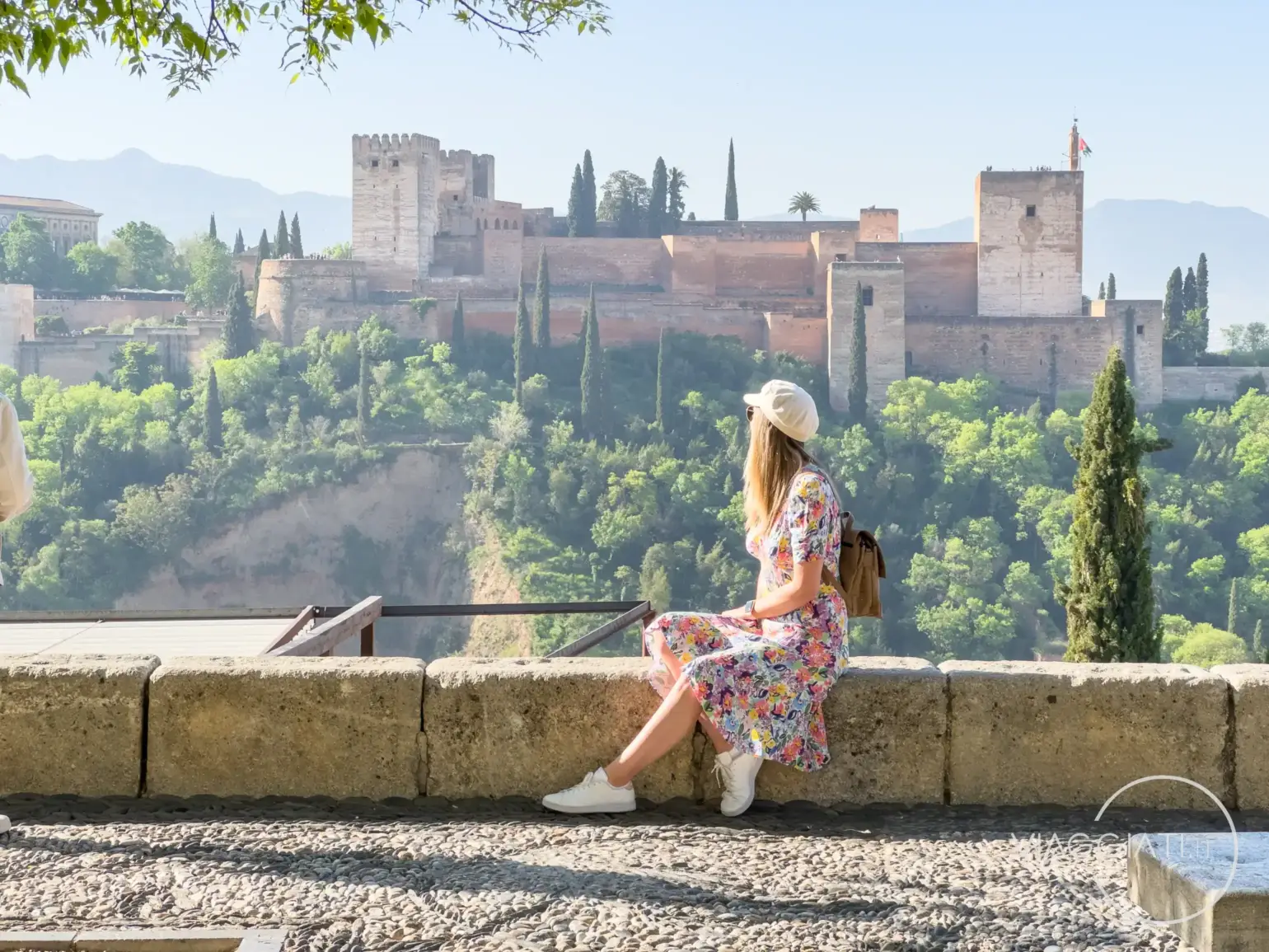Escursione a Granada da Siviglia
