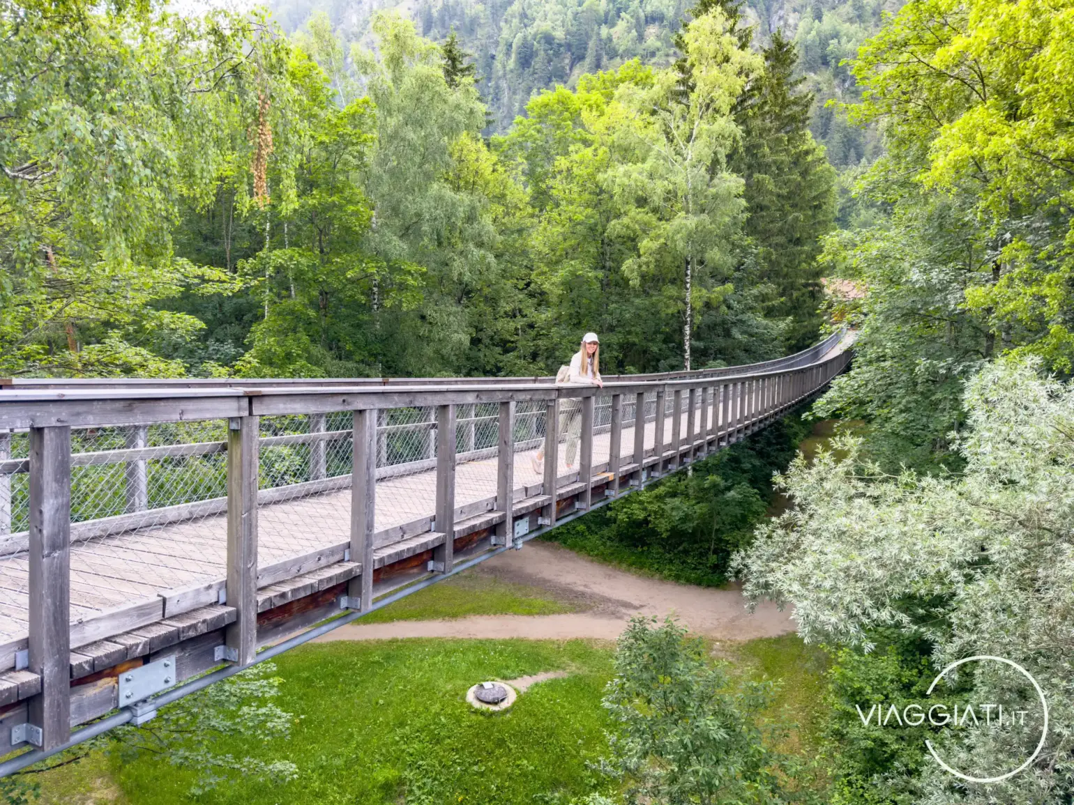 Der Baumkronenweg, ponti sospesi