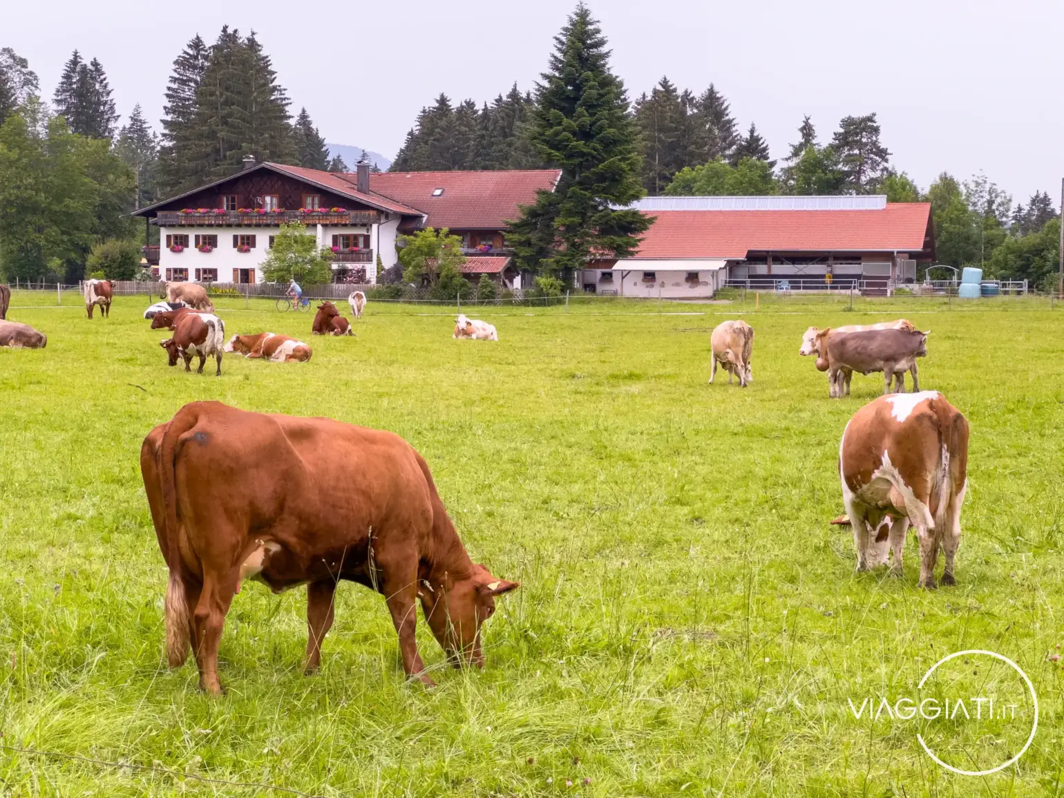 Strada Romantica in Germania