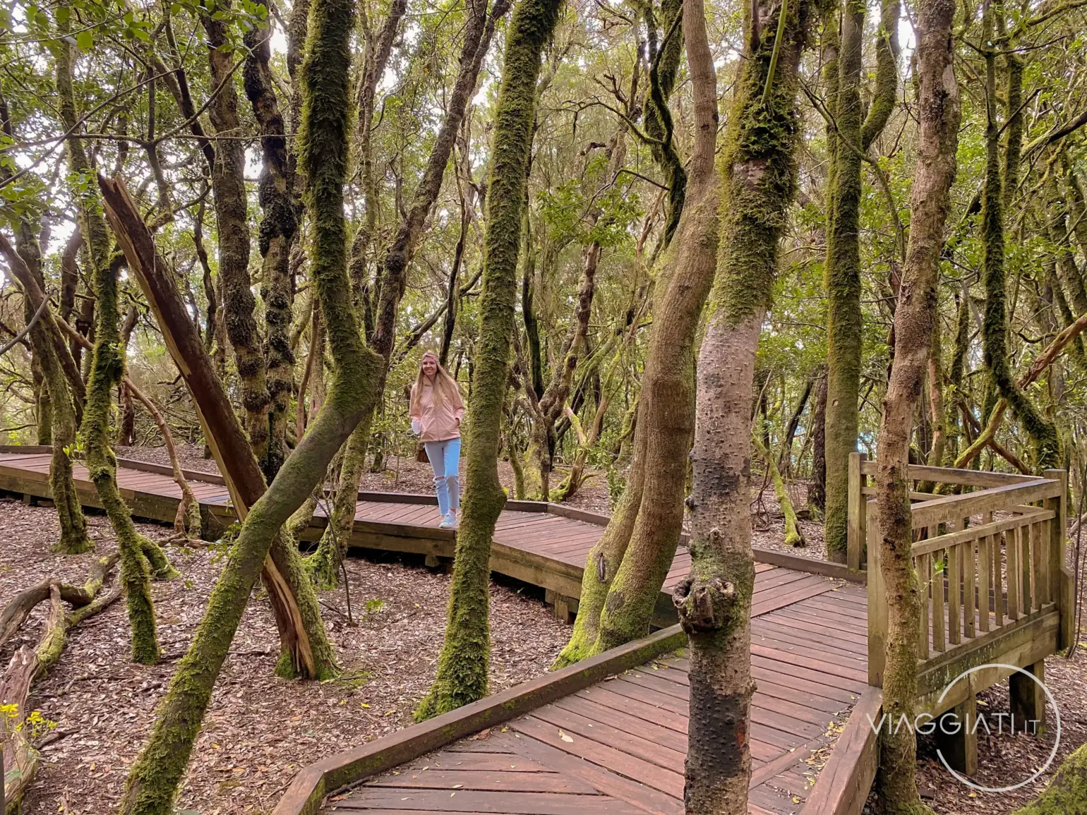 Sendero de los Sentidos nel Parco rurale di Anaga