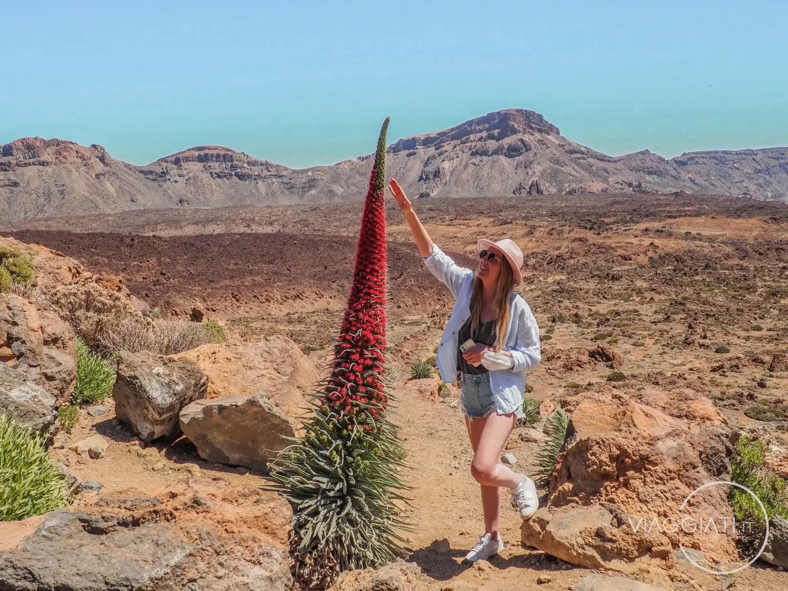 Tajinaste rojo sul Teide | Tenerife in 7 giorni