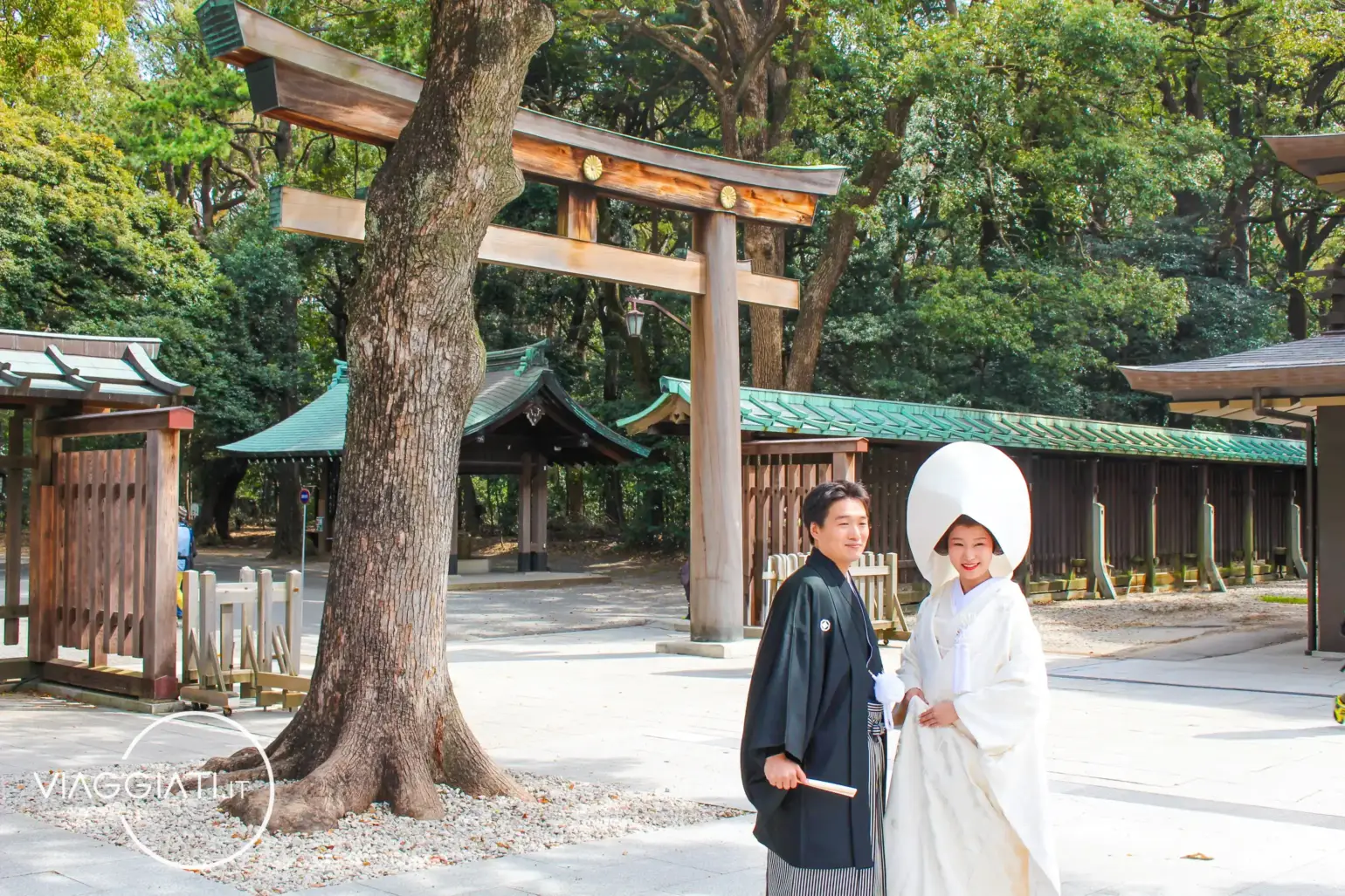 Santuario Meiji Jingu | Luoghi da visitare a Tokyo in 4 giorni