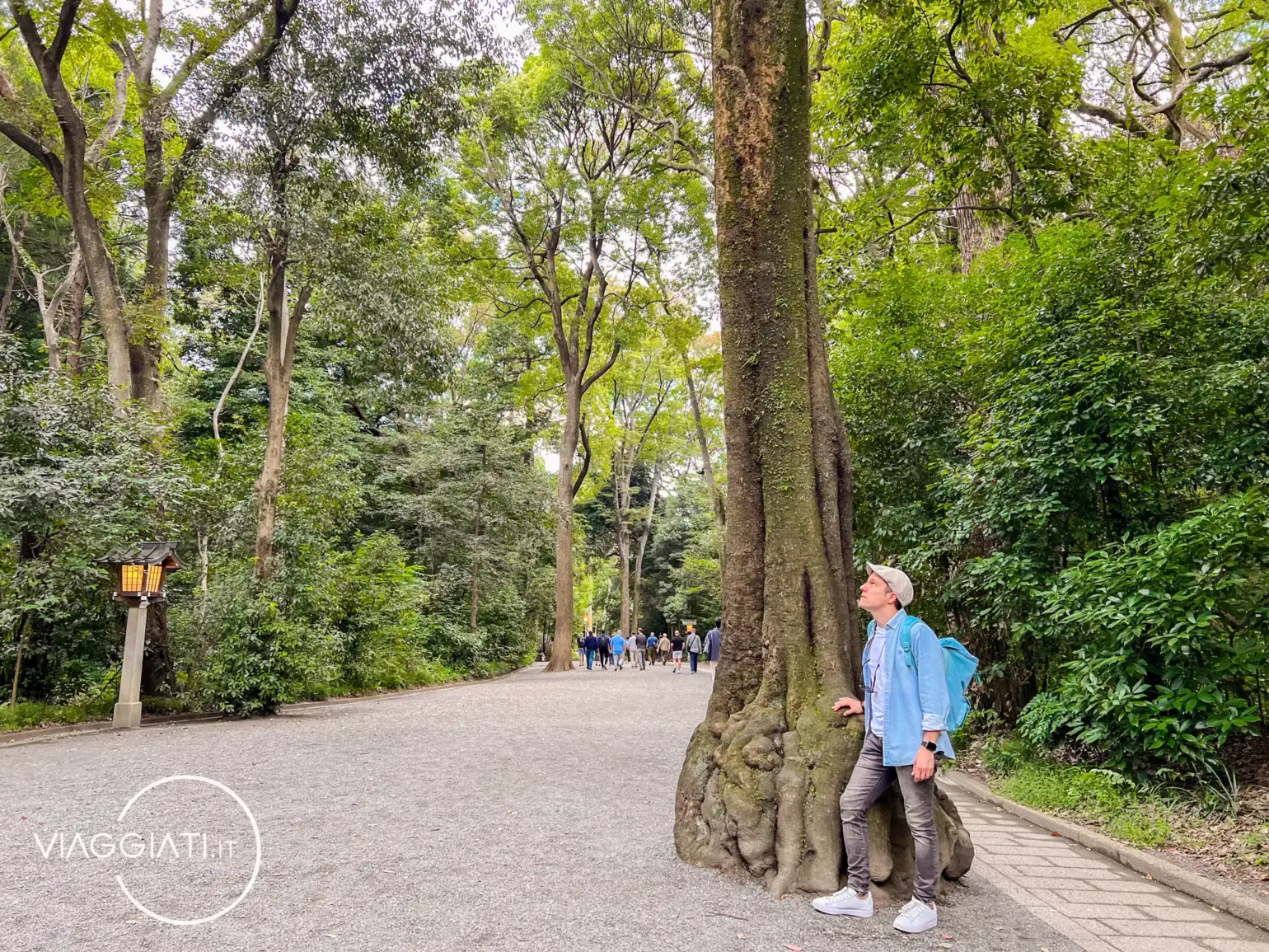 Santuario Meiji Jingu | Tokyo in 4 giorni