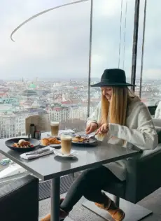 Vienna in inverno
